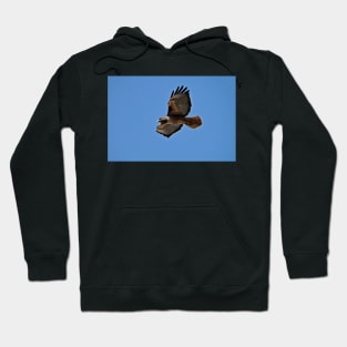 Western Red Tailed Hawk Hoodie